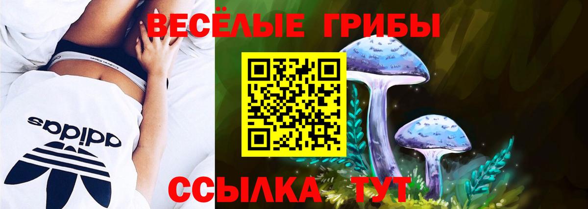 Галлюциногенные грибы GOLDEN TEACHER Мыски