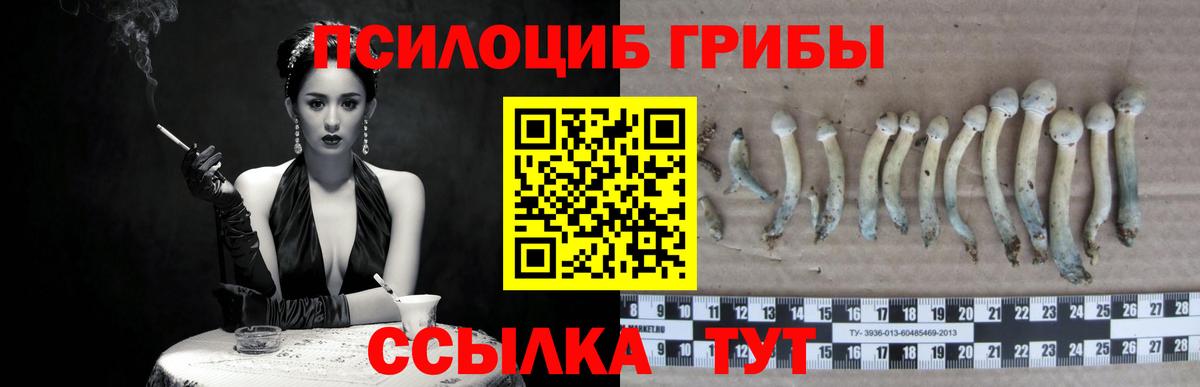 Галлюциногенные грибы GOLDEN TEACHER  Вход с VPN  купить закладку  Мыски 